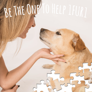 1FUR1 animal assisted service programs