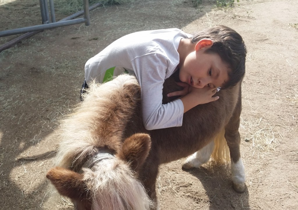 equine assisted therapy benefits