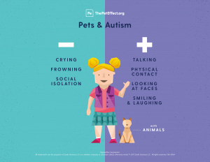 The Difference between Animal Assisted Therapy (AAT) and Activities (AAA