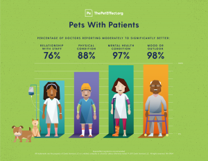 The Difference between Animal Assisted Therapy (AAT) and Activities (AAA): Part 1 of 2