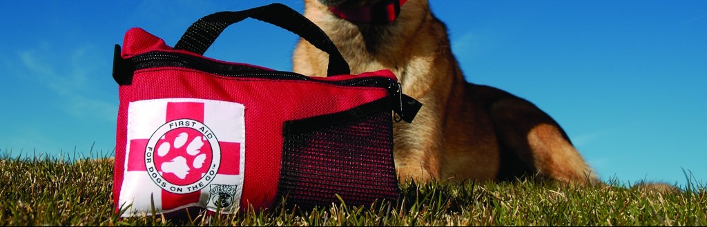 pet first aid
