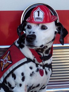 360px-Sparkles_the_Fire_Safety_Dog