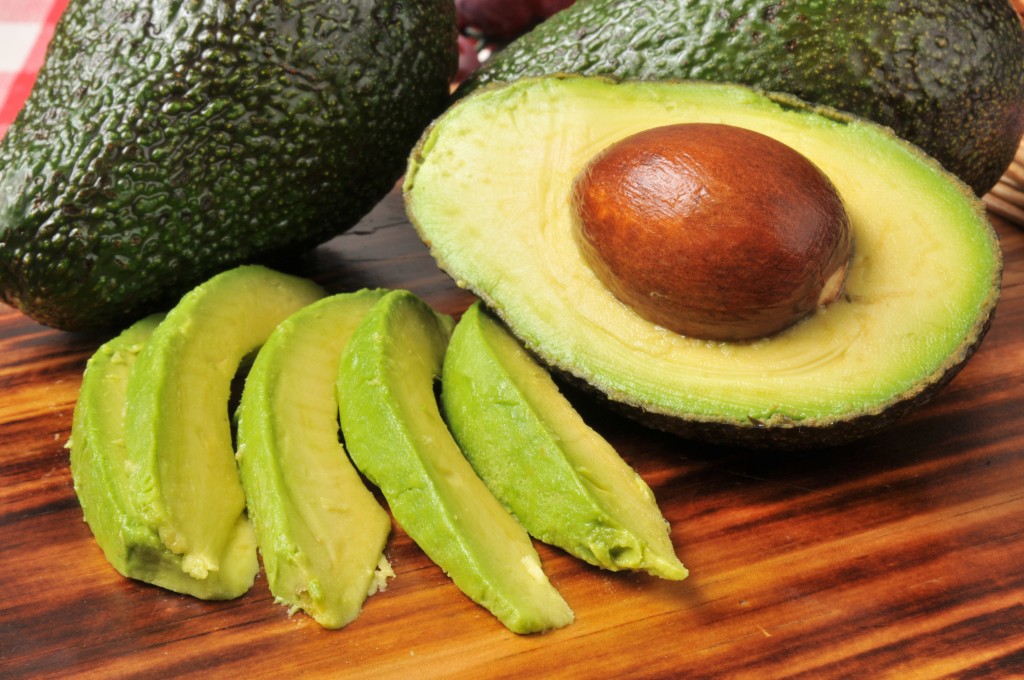 Avocado= dog poison