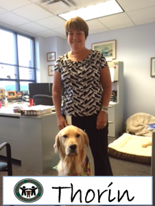 1fur 1 take your dog to work day
