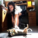 ct-met-aj-dogs-allowed.jpg-20120623