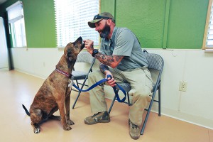 Co-founder of Paws and Stripes trains a shelter dog to help soldiers with PTSD.