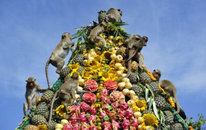 Monkey_Buffet_Festival_food_pyramid-600x378
