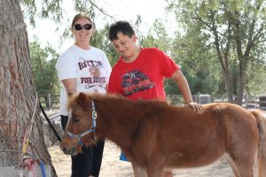 Chips, A Life Changing Mini Horse