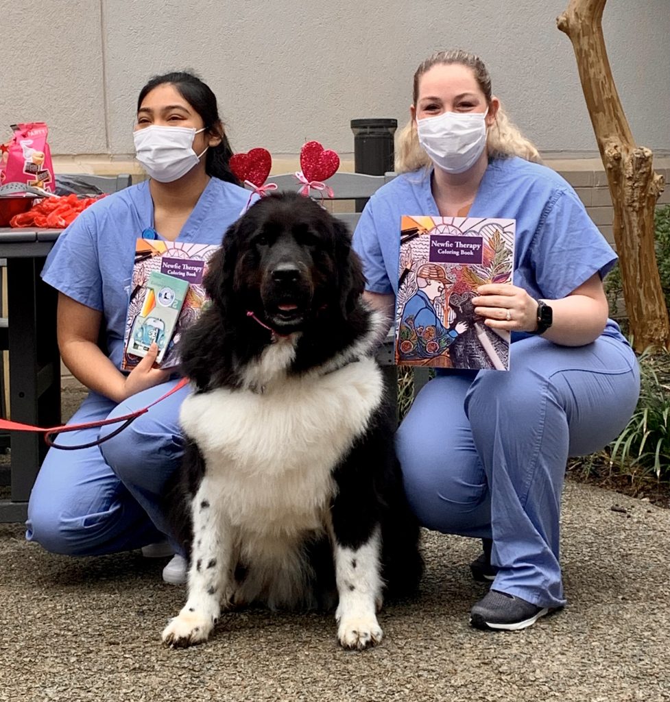 newfie therapy and 1fur1 news