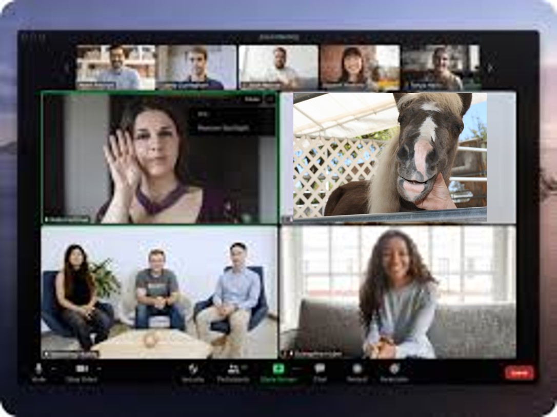 virtual meeting in progress on a computer screen